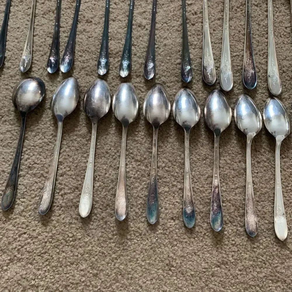 Wm Rogers Mfg. Co. Extra Plate IS TRIUMPH 40 Piece Flatware Set